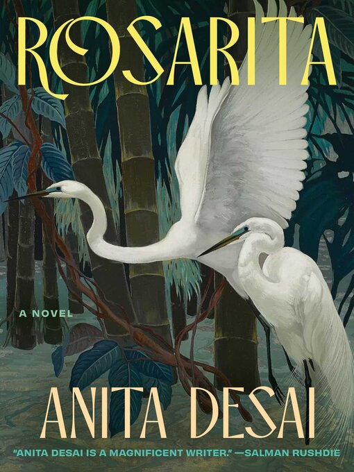 Title details for Rosarita by Anita Desai - Wait list